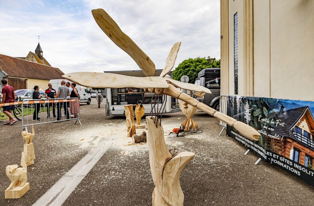 Sculpture sur bois à la tronçonneuse - Perfectionnement - Photo de galerie