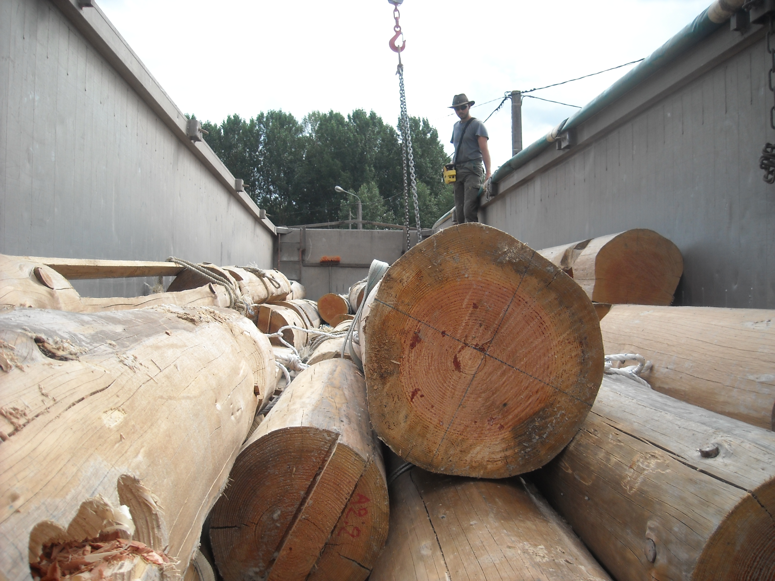 Maison en rondins - Photo de galerie