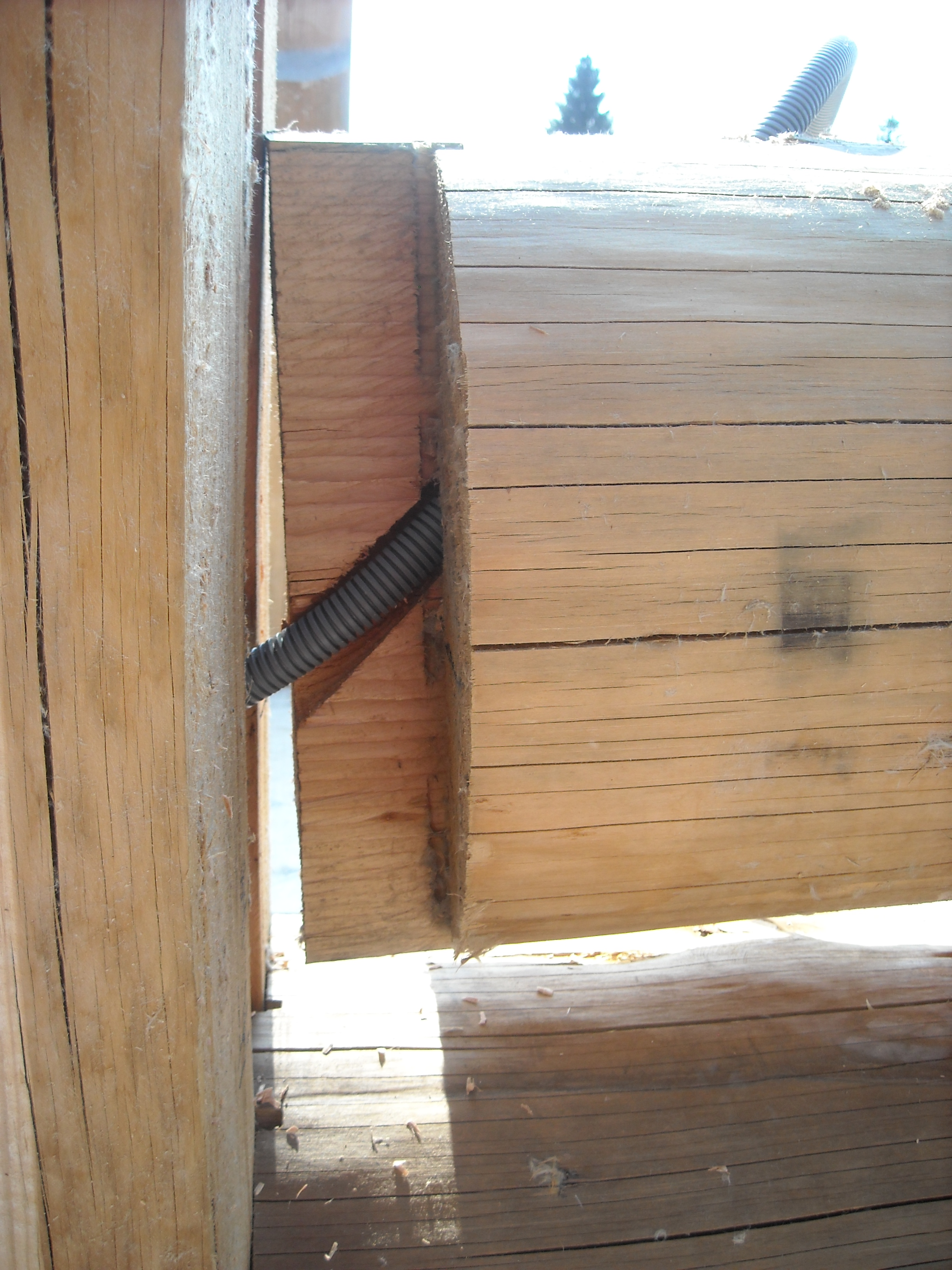 Maison en rondins - Photo de galerie