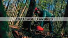 Maison en rondins - Photo de galerie