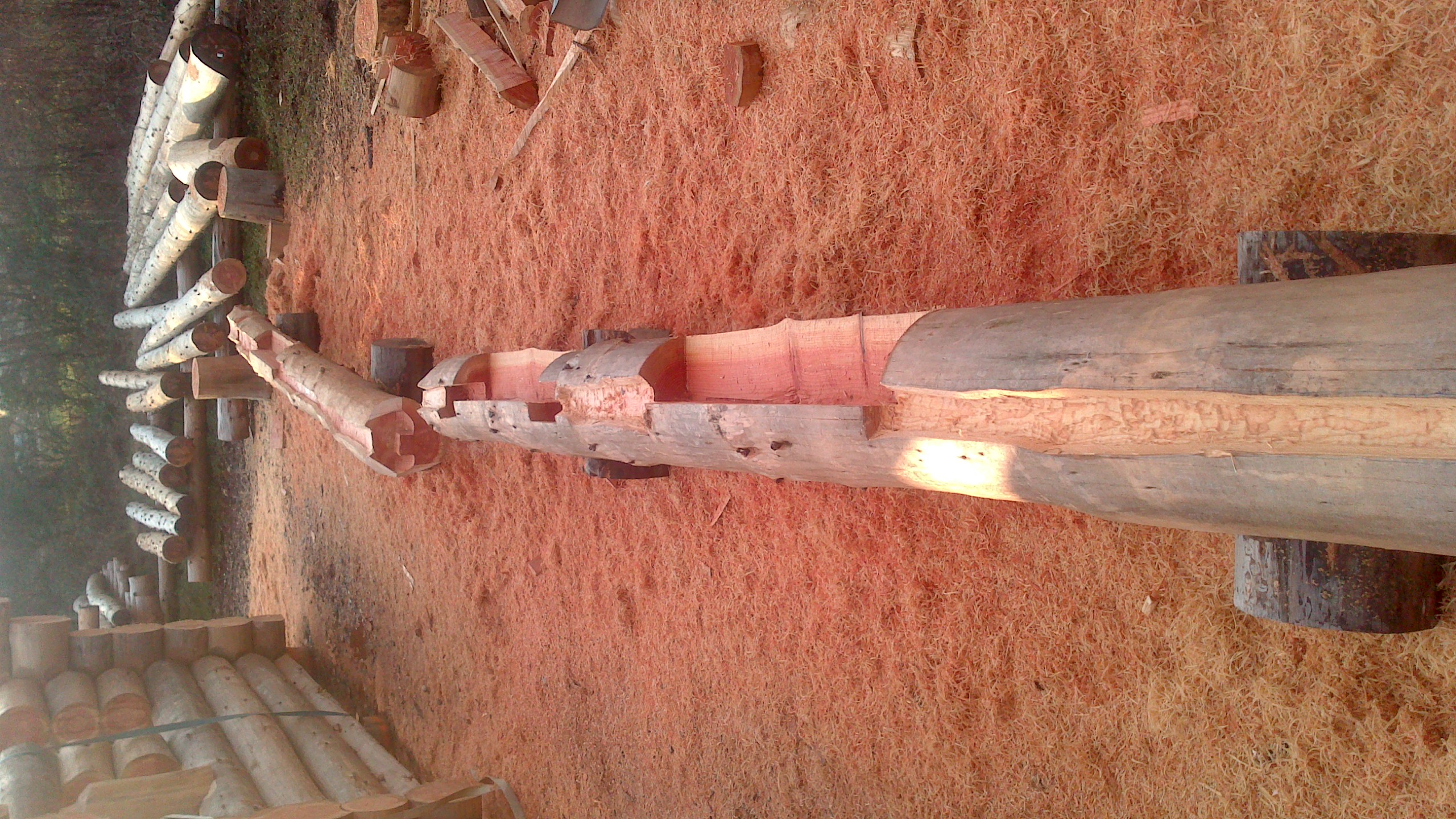 Maison en rondins - Photo de galerie