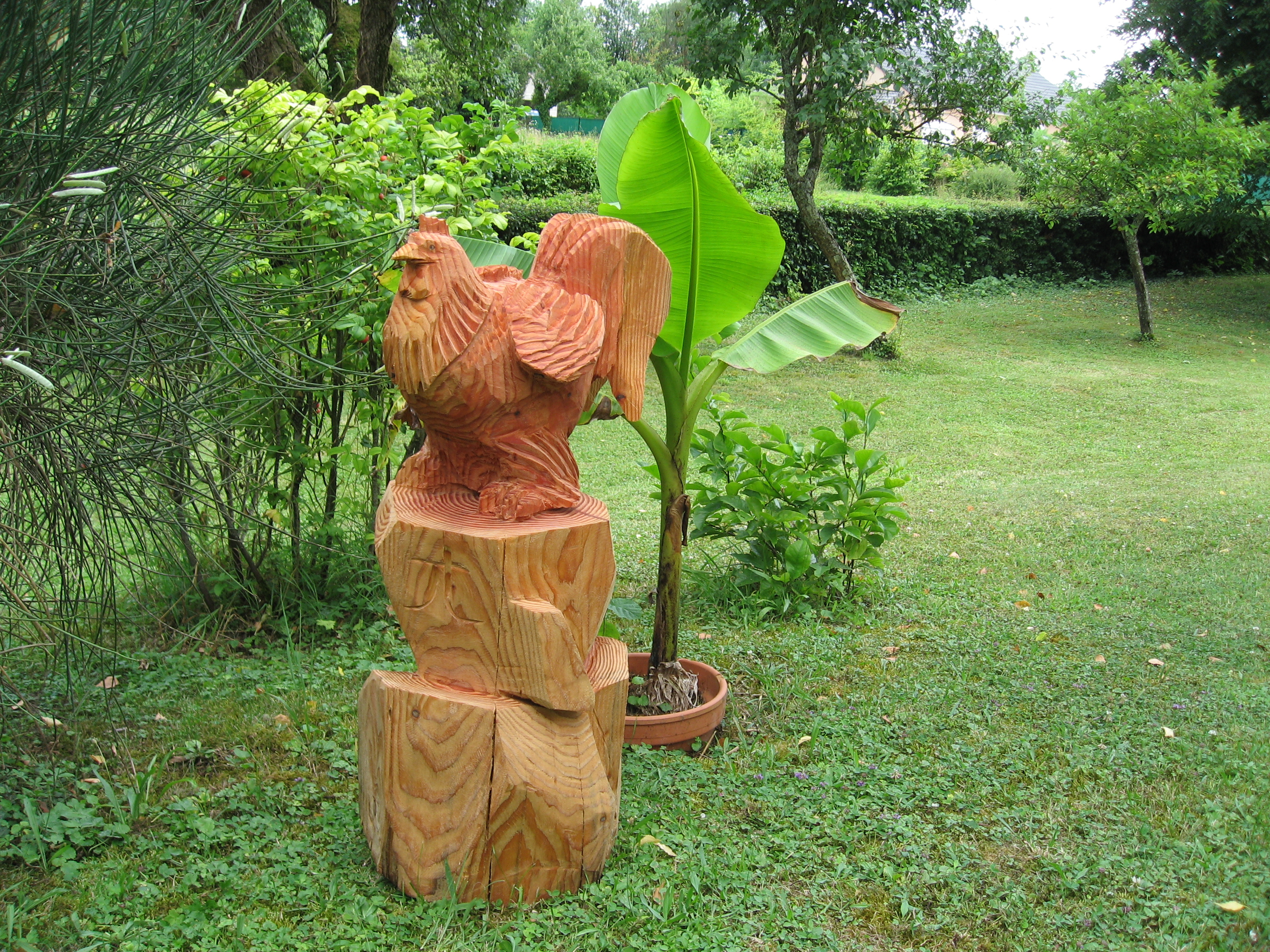 Sculptures - Photo de galerie