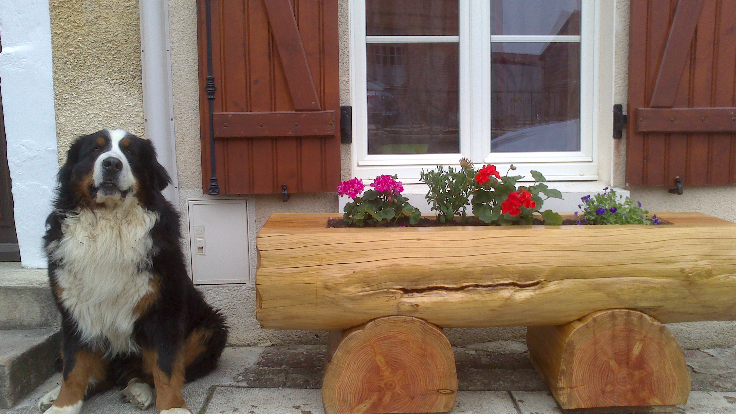 Mobiliers - Photo de galerie